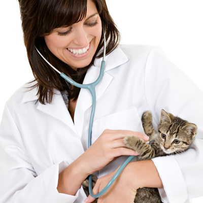 Doctor with kitten